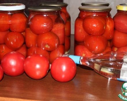 TOPP 3 steg-för-steg-recept för att göra berusade tomater för vintern