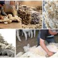 What can be made from sheep wool, types and classification of fibers