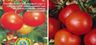 תיאור של זן העגבניות נבסקי, מאפייניו וטיפולו