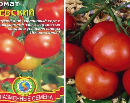 Descripción de la variedad de tomate Nevsky, sus características y cuidados.