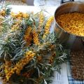 13 migliori ricette passo-passo per preparare gli spazi vuoti di olivello spinoso per l'inverno