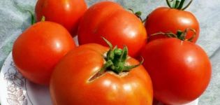 Egenskaber og beskrivelse af Labrador-tomatsorten, dens udbytte