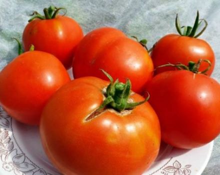 Eigenschaften und Beschreibung der Labrador-Tomatensorte, deren Ertrag