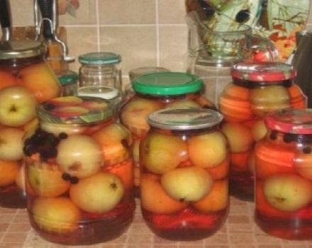 A delicious recipe for making whole apple compote for the winter
