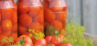Kış için tatlı domates turşusu yapmak için en iyi 10 tarif