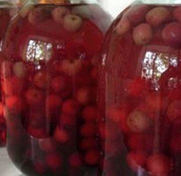 2 simple recipes for making Chinese compote for the winter