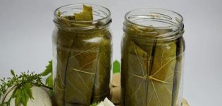 TOP 3 recipes for pickled cucumbers in spring water for the winter