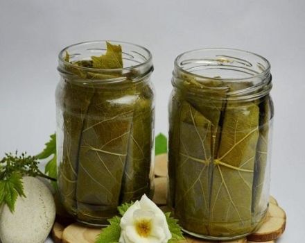 TOP 3 recepten voor ingelegde komkommers in bronwater voor de winter