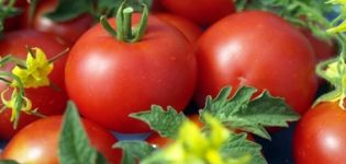 Džeino pomidorų veislės charakteristikos ir aprašymas