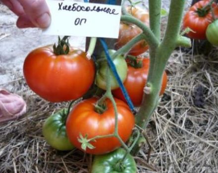 Χαρακτηριστικά και περιγραφή της ποικιλίας της ντομάτας Khlebosolny, της απόδοσής της