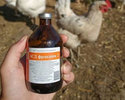 Használati utasítás a gyógyszer csirkékre ASD-2 és az adagolás