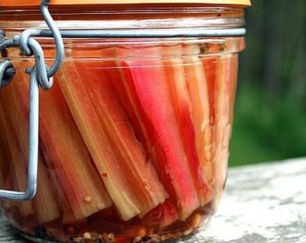 The best recipes for making chard for the winter, drying, freezing and pickling