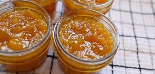 Schritt-für-Schritt-Rezept für die Herstellung von zuckerfreier Apfelmarmelade für den Winter