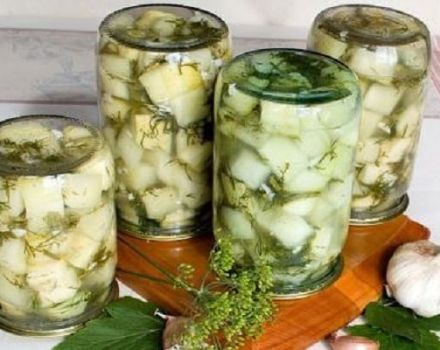 TOP 10 step-by-step recipes for cooking zucchini, like mushrooms for the winter, with and without sterilization