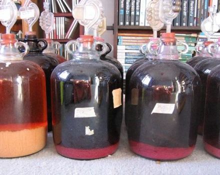 Temperatura do cichej fermentacji wina w domu, czy potrzebujesz uszczelnienia wodnego