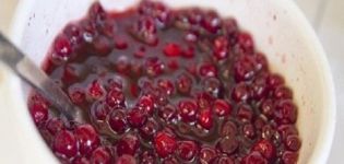 17 beste recepten voor het maken van rode bessen voor de winter