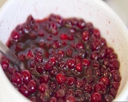 17 legjobb recept a piros ribizli készítéséhez télen