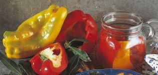 TOP 3 original recipes for pickling sweet peppers for the winter with garlic