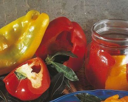 TOP 3 originale opskrifter på pickling af sød peber til vinteren med hvidløg