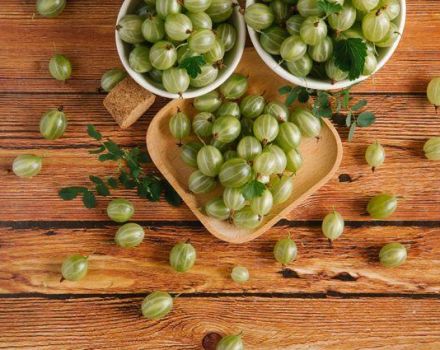 Recipe for making gooseberry jam with sugar for the winter