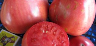 Caratteristiche e descrizione della varietà di pomodoro Sevruga o Pudovik, la sua resa