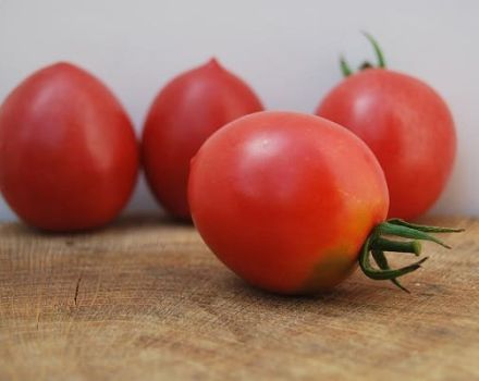 Kuvaus tomaattilaji Slavyanka, sen ominaisuudet ja tuottavuus