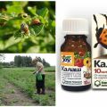 Kalash'ın Colorado patates böceğine karşı kullanımı için talimatlar