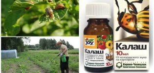 Instructions for the use of Kalash against the Colorado potato beetle