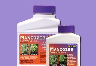 Instructies voor het gebruik van fungicide Mancozeb, samenstelling en werking van het medicijn