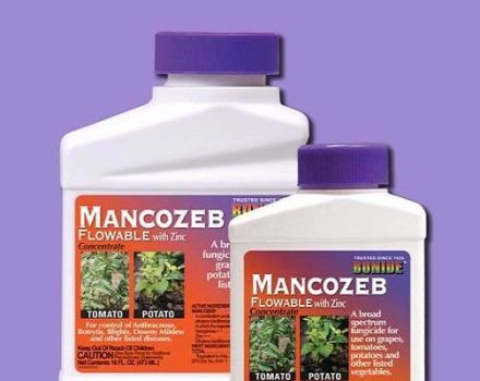 Instructions for the use of fungicide Mancozeb, composition and action of the drug