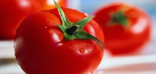 Pomidorų plyšio aprašymas ir veislės savybės