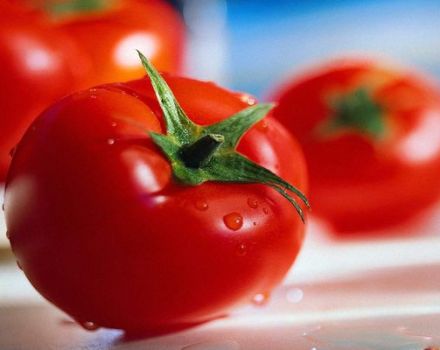 Tomaattipaikan kuvaus ja lajikkeen ominaisuudet