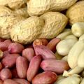 Schade en voordelen van pinda's voor het menselijk lichaam, eigenschappen en vitamines in pinda's