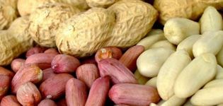 Danno e benefici delle arachidi per il corpo umano, proprietà e vitamine nelle arachidi