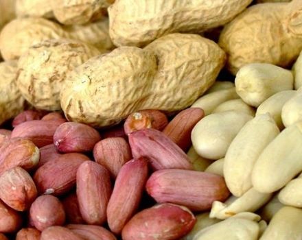 Škody a výhody arašidov pre ľudské telo, vlastnosti a vitamíny v arašidoch