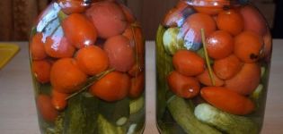 TOP 10 Rezepte für verschiedene Gurken und Tomaten für den Winter