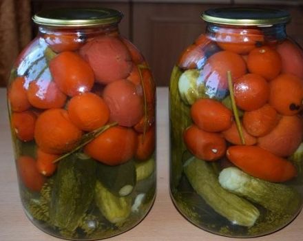 TOP 10 recipes for assorted cucumbers and tomatoes for the winter
