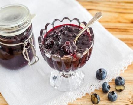 TOP 2 recipes for making blueberries with honey without cooking for the winter