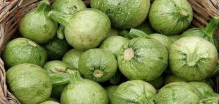 Description of the best varieties of round zucchini, features of cultivation and care