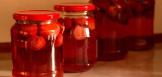 Een eenvoudig recept voor het maken van aardbeiencompote voor de winter