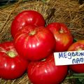 Tomaattilajikkeen ominaisuudet ja kuvaus Karhun tassu, sen sato