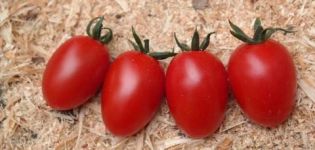 Charakterystyka i opis odmiany pomidora Caramel, cechy techniki rolniczej
