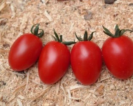 Caratteristiche e descrizione della varietà di pomodoro Caramel, caratteristiche della tecnologia agricola
