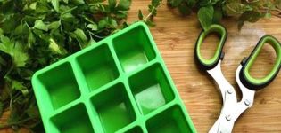 Helpoimmat vaihtoehdot kuinka jäädyttää persilja talveksi jääkaapissa