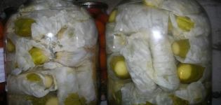 TOP 2 recepty na varenie uhoriek v listoch kapusty na zimu