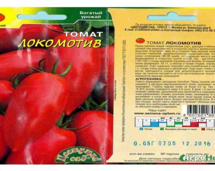 Περιγραφή της τυπικής ποικιλίας ντομάτας Lokomotiv και των χαρακτηριστικών της
