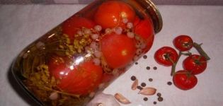 Opskrifter til pickling af tomater med røde rips til vinteren