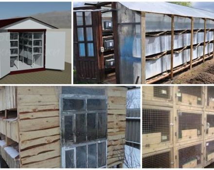 Schemes and drawings of sheds for rabbits, instructions for making your own hands