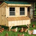 Wie man einen Hühnerstall zum Selbermachen im Land baut, Gerät und notwendige Materialien