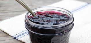 Jednoduchý recept na výrobu chutného džemu irgi na zimu